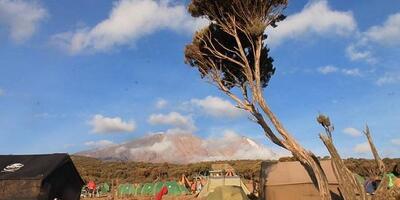 ¡Razones para escalar Monte Kilimanjaro!